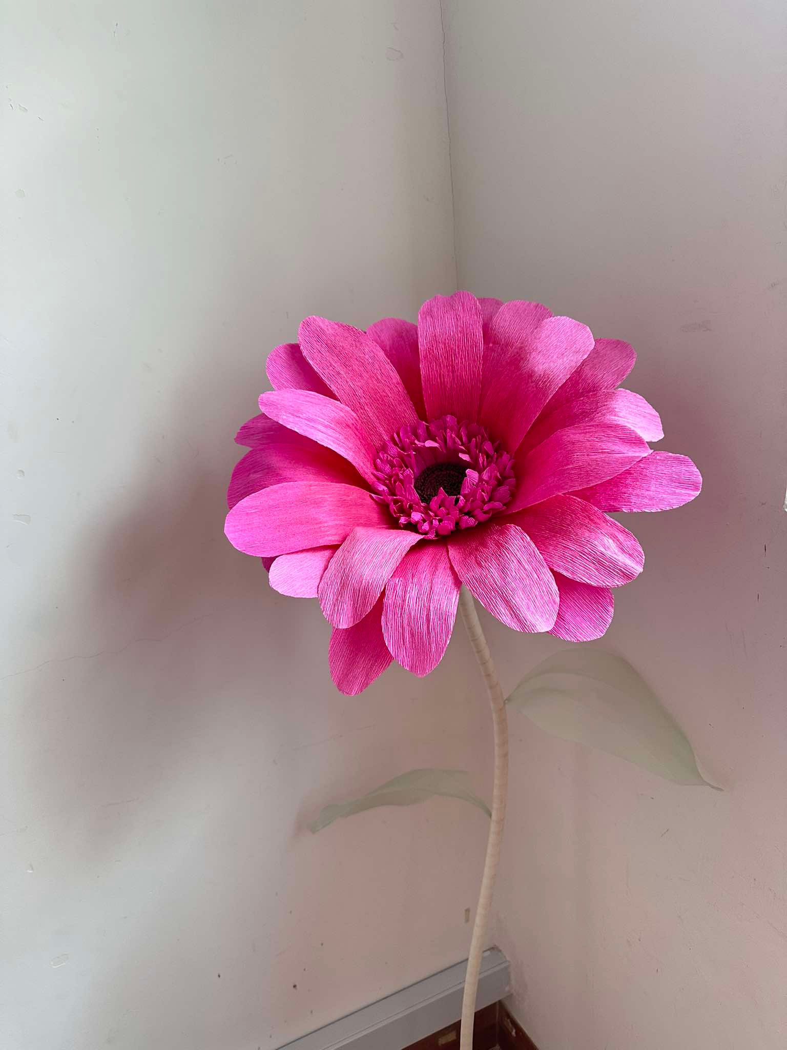 (For RENT) Magenta Pink Gerbera Daisy Standing Flower