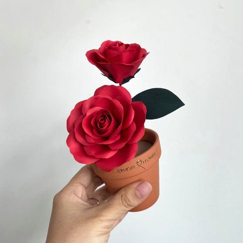Potted Rose