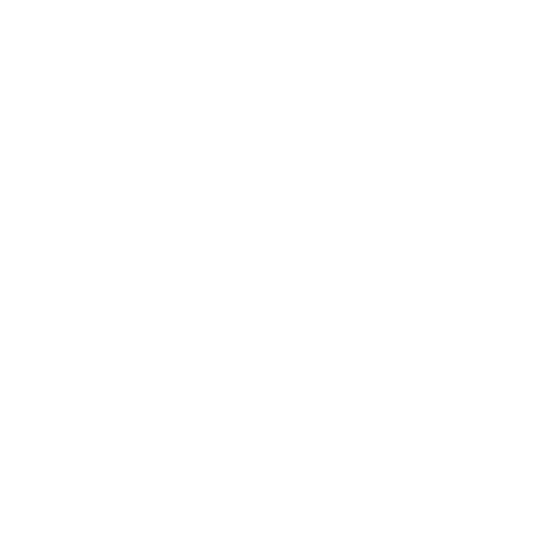Digital Stylz Logo