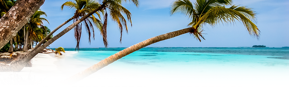 Beach Banner