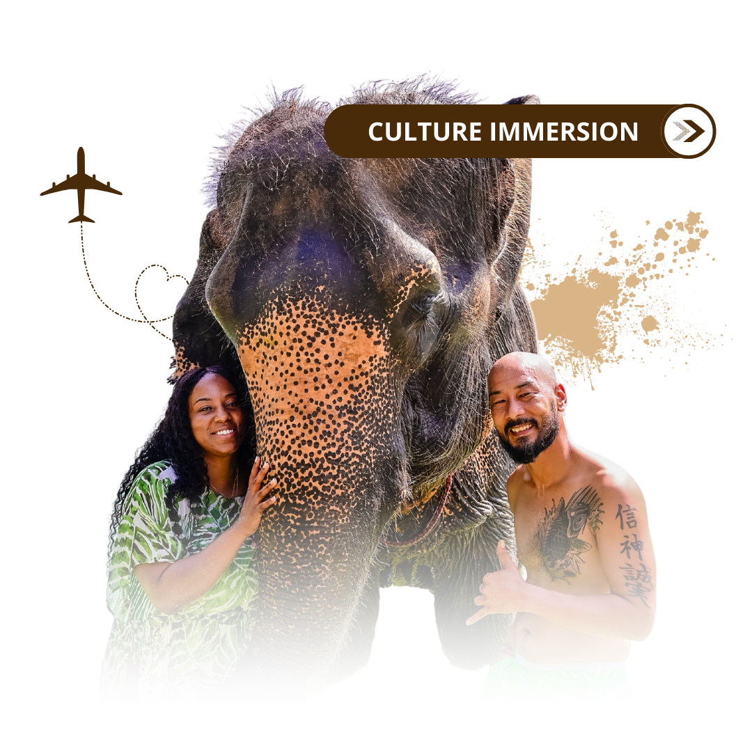 The Weekend Experience