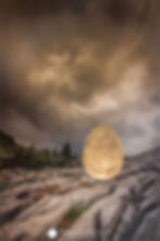 2025-03-29-Résilience-photo-Alain-Doucé-BD-9114