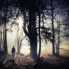 Site Instants-sensibles-Photo-Alain-Doucé-BD-20.JPG