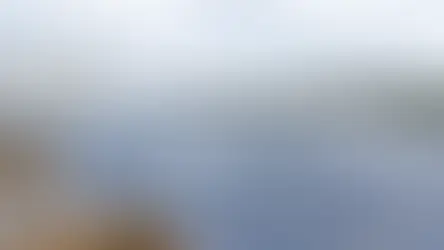 光電汰舊換新 經濟部推2優惠