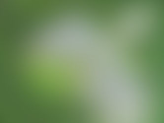 垃圾掩埋場發展綠能 高雄「這2場」為市庫賺71萬