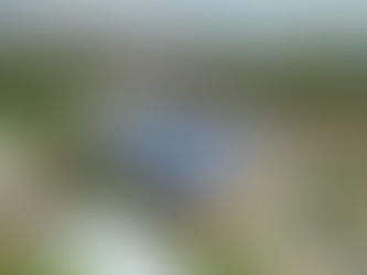 2050淨零排放,桃園市兩度獲能源治理評比等級A縣市