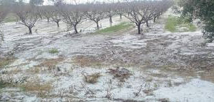 Maltempo in Basilicata: gravi criticità nelle aree agricole