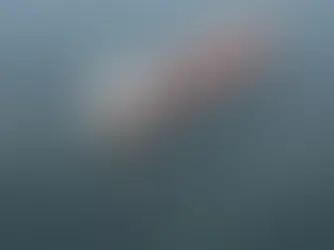 Crollo del traffico di petroliere nello Stretto di Hormuz: -90% dall’inizio della guerra con l’Iran