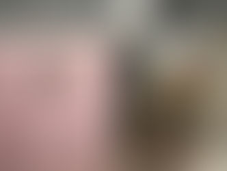 Invasione di insetti a Potenza, scatta la disinfestazione straordinaria