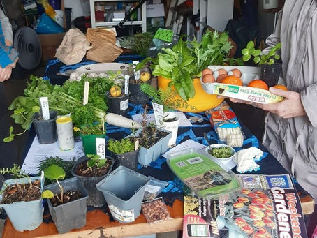 Whangārei Crop & Plant Swap!