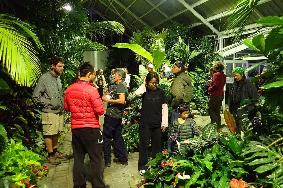 Whangārei Green Drinkers Soak up Tropical Plant Vibes