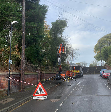 road side tree work in chorley