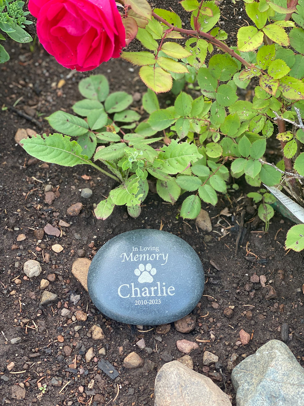 Personalized Laser Engraved Pet Memorial Stone Garden Marker