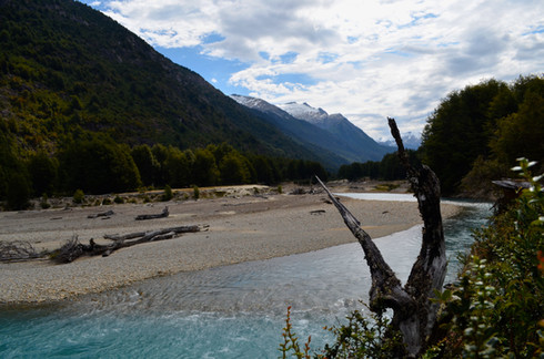 DSC_0266_2.jpeg