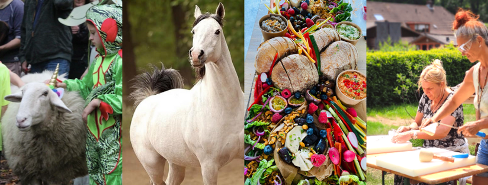 Copy of Organic Collage Food Facebook Co