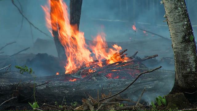 Incendie à Saint-Joseph le 3 juin 20