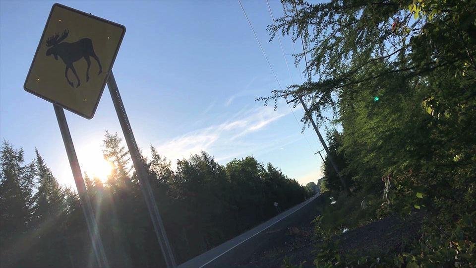 277582167