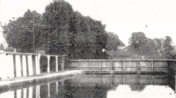 Devizes Canal Pool.jpg
