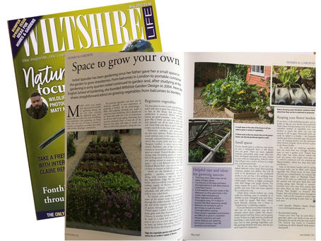 Wiltshire Life