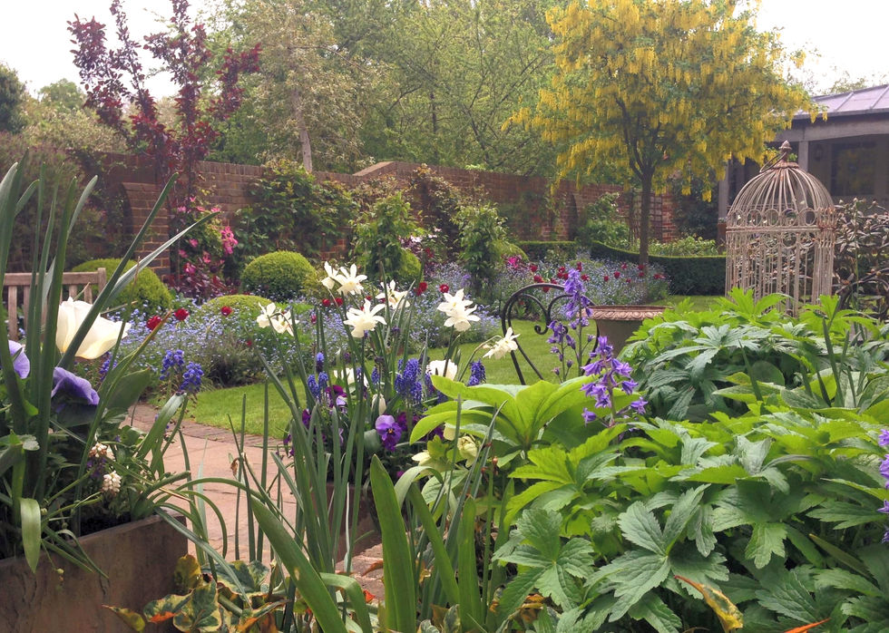Walled garden with daffodils, tulips and pansies