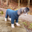 Miniatyrbilde: HUNDEDRESS