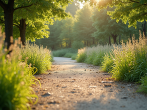 Exciting Updates on Whitewater Gorge Park Renovation