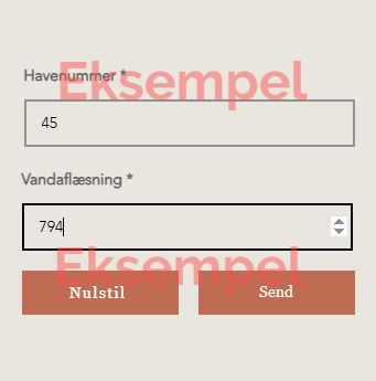 vandaflæsning eksempel_edited.jpg