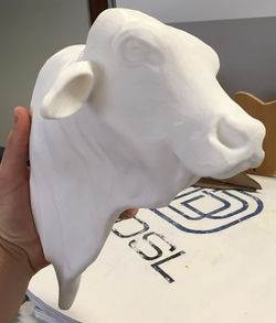 The 3D print of the Bull head!