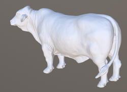 Edited 3D model using GeoMagic Wrap.