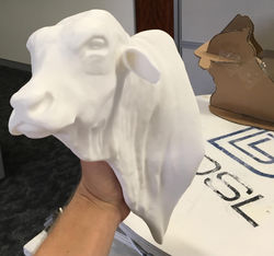 The 3D print of the Bull head!