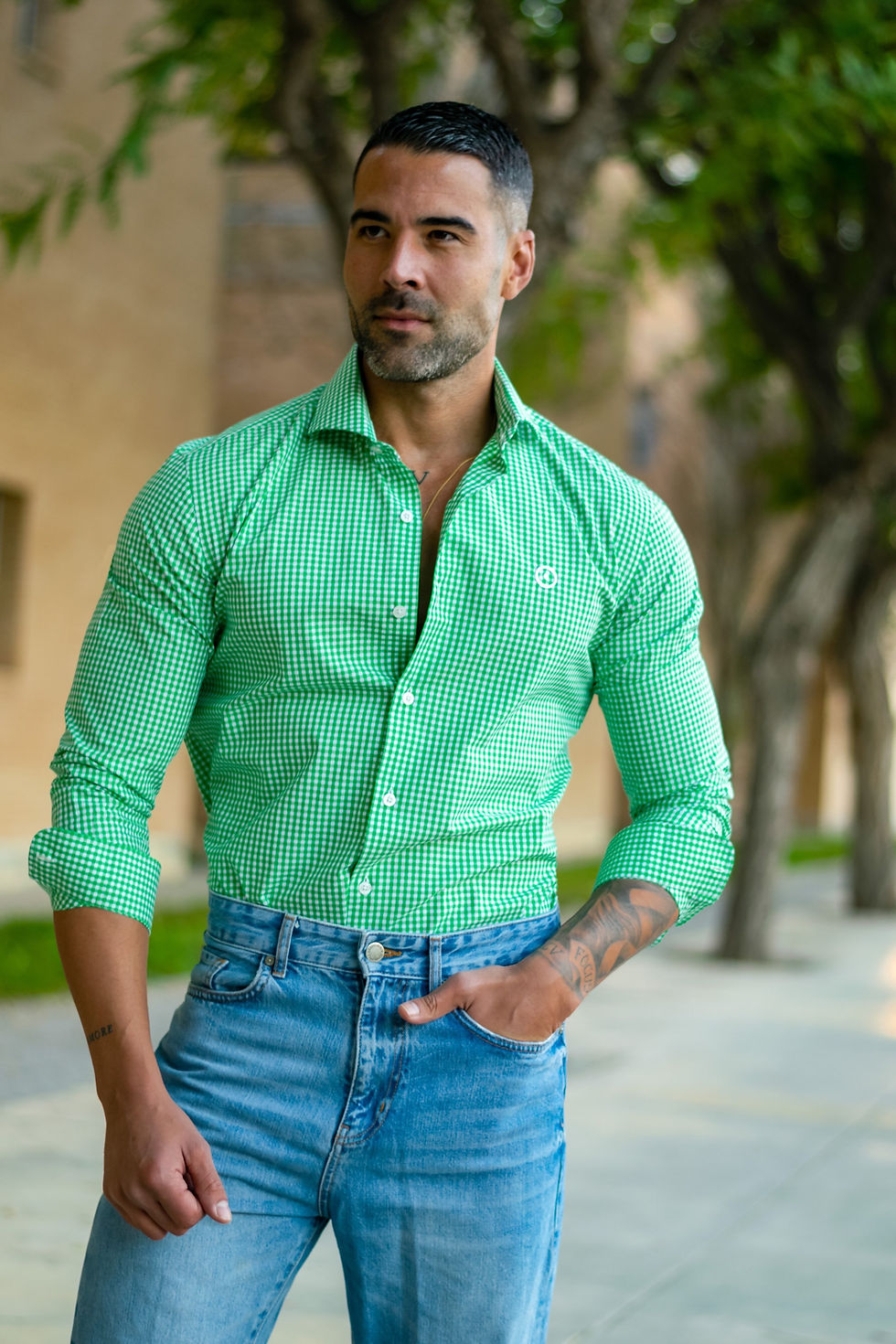 Miniatura: Camisa Cuadros Verdes y Blancos Langley