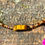 Thumbnail: Tigers Eye & Amber Tahalana Anklet