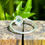Thumbnail: Coral Kalee Ring