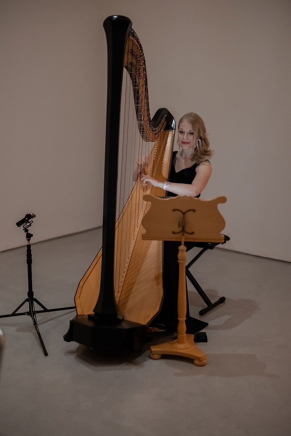 venuesix10 wedding harpist