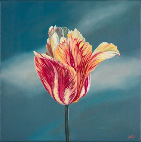 Wallflower 41cm x 41cm