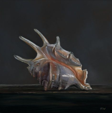 Still life oil painting of a sea shell with spines on a wooden bench with dramatic lighting