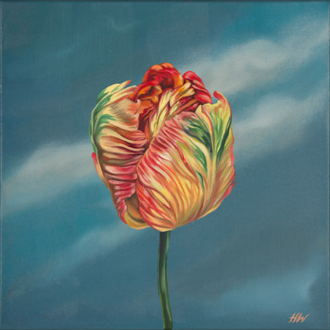 Rare Beauty 41cm x 41cm