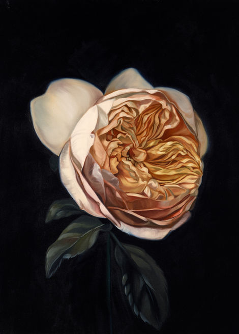 Introspection 61cm x 76cm