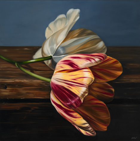 Coveted 76cm x 76cm