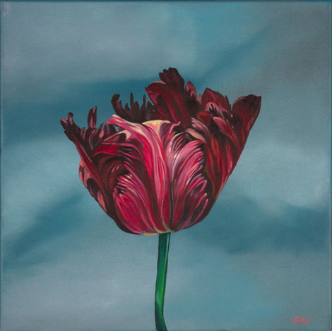 Cultivar 41cm x 41cm