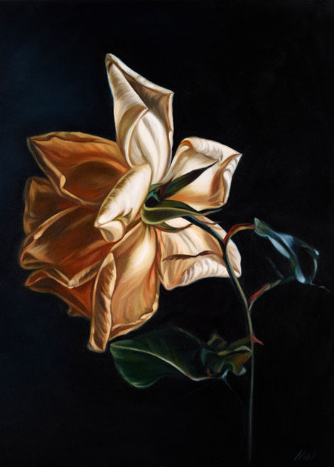 Yellow Rose 61cm x 76cm