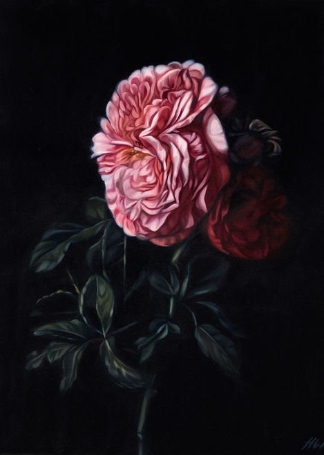 Beebalm 61cm x 76cm