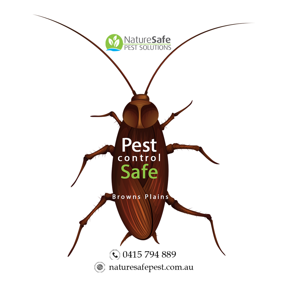 Safe pest control Browns Plains