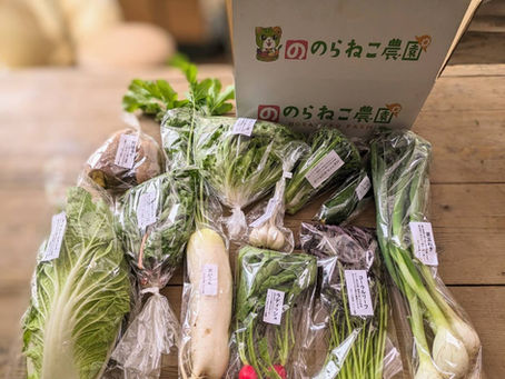 のらねこ野菜便について