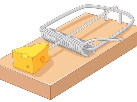 The Grant Trap: Why Great Proposals Still Get Rejected—and What to Do About It