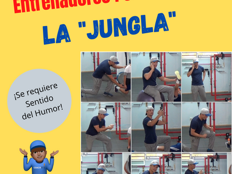 Entrenadores Personales:"La Jungla"
