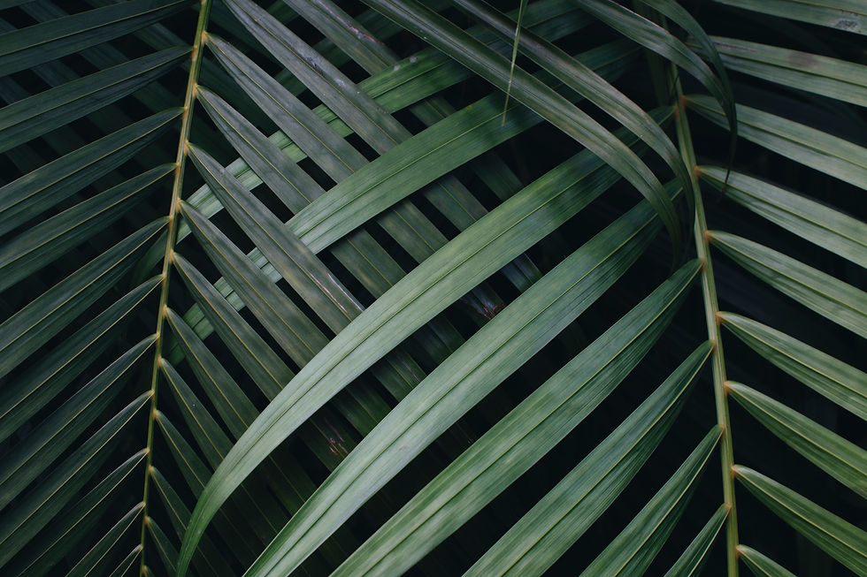 greenery 2