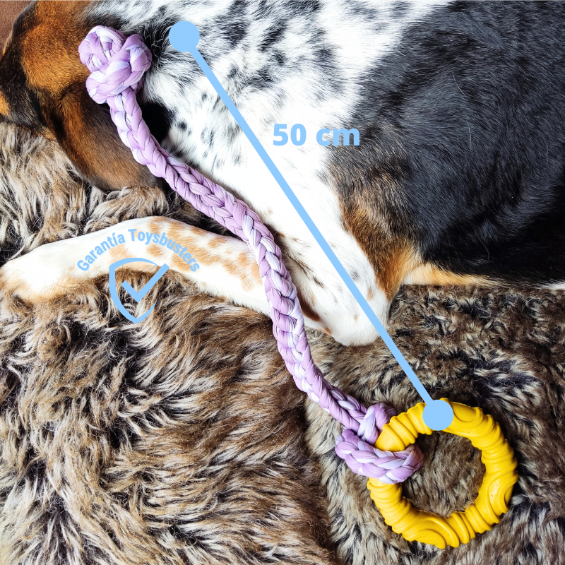 Miniatura: Juguete elástico con aro mordedor