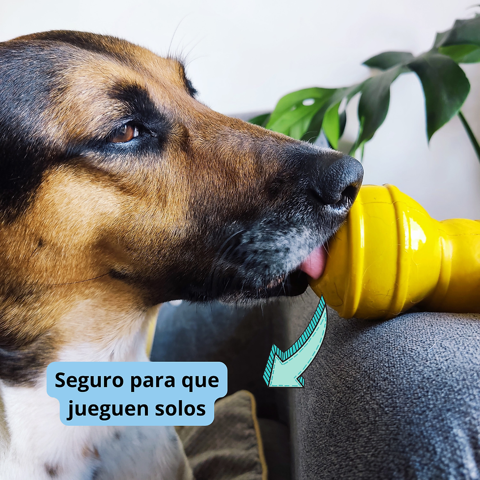 Miniatura: Combo: peluche + mordedor + juguete elástico