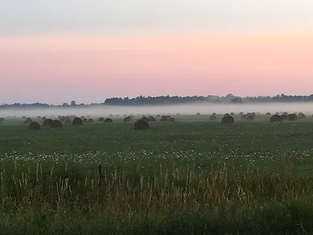 Our Lives, Our Land, Their Future